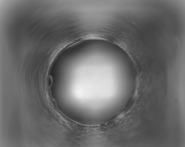 X0000058780289200510071616