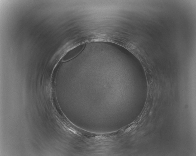 X0000058780290200510071616