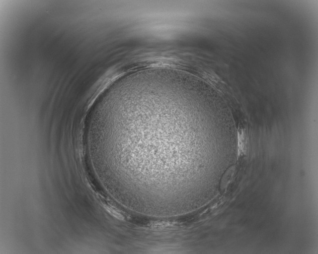 X0000058780291200510071616