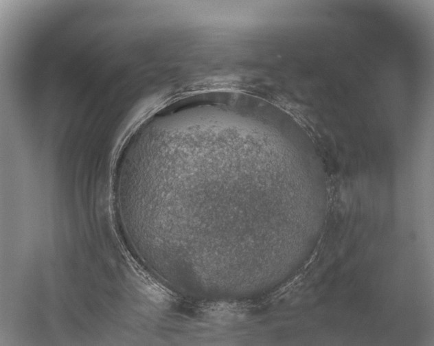 X0000058780293200510071616