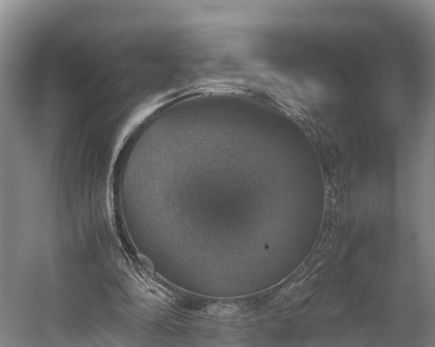 X0000058780294200510071616