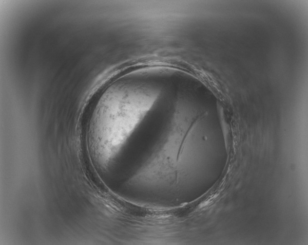 X0000058780295200510071616