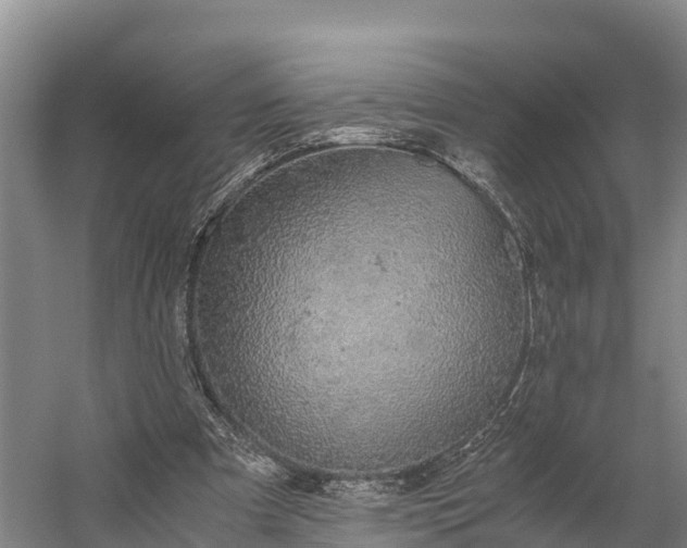 X0000058780297200510071616