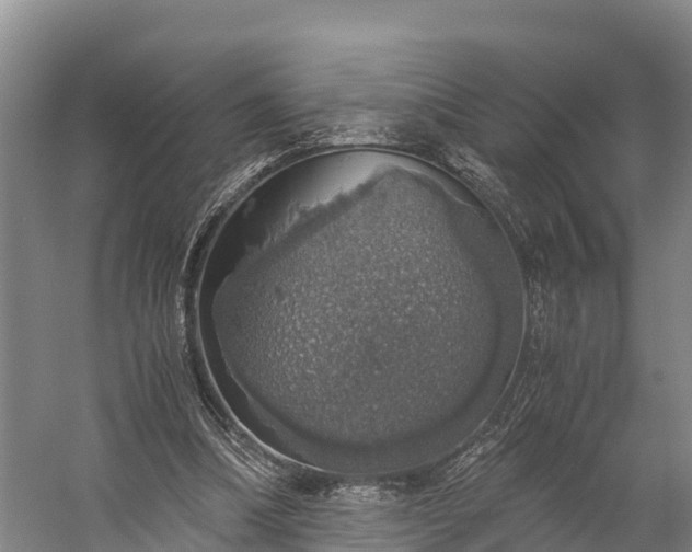 X0000058780298200510071616