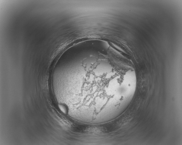 X0000058780299200510071616