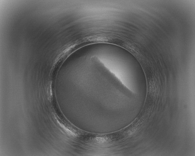 X0000058780302200510071616