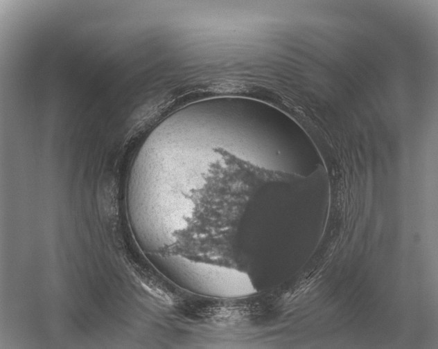 X0000058780303200510071616