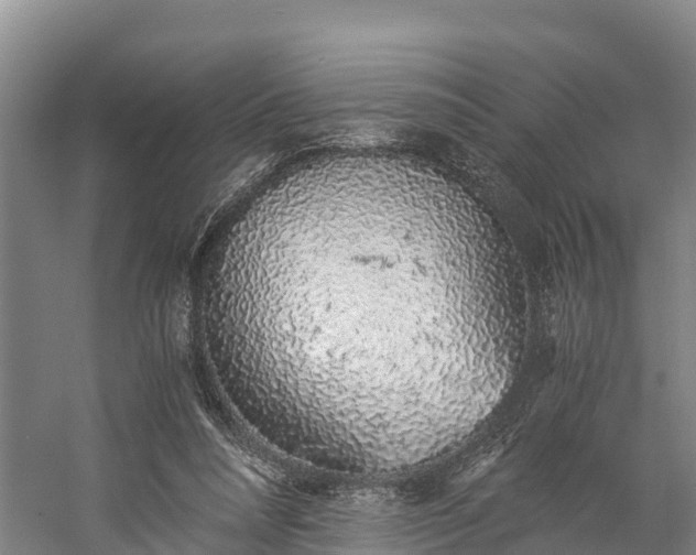 X0000058780304200510071616