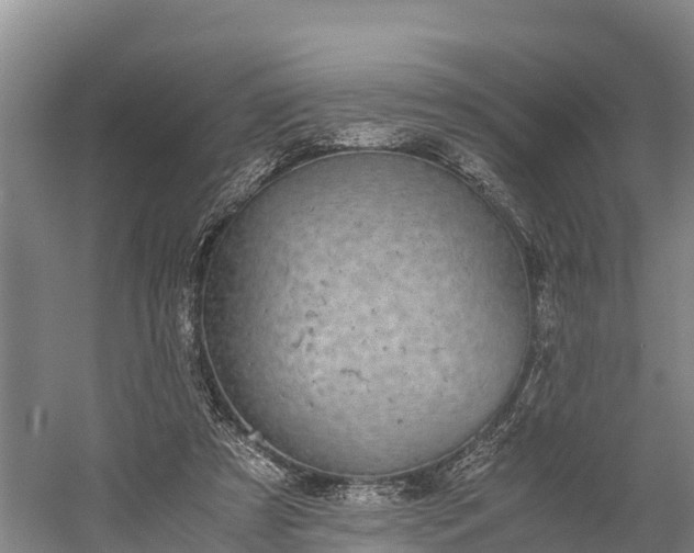 X0000058780305200510071616