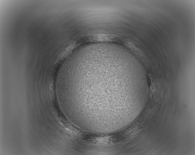 X0000058780306200510071616