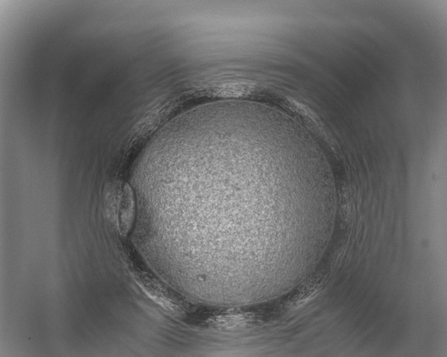 X0000058780307200510071616