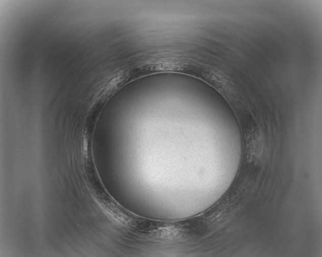 X0000058780310200510071616