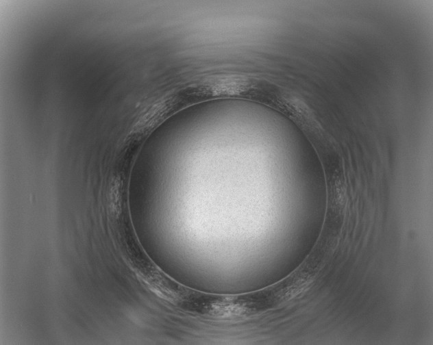 X0000058780311200510071616