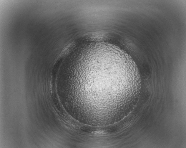 X0000058780312200510071616