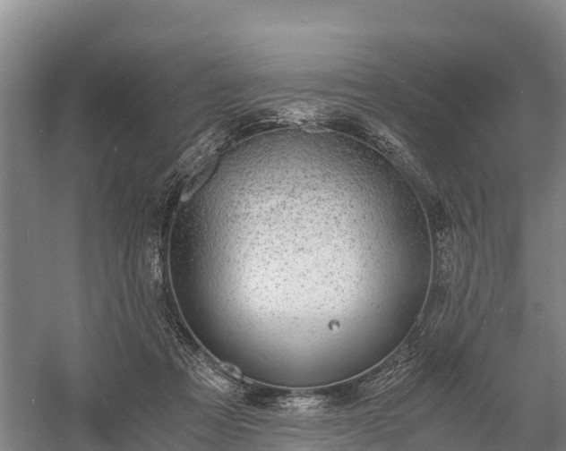 X0000058780313200510071616