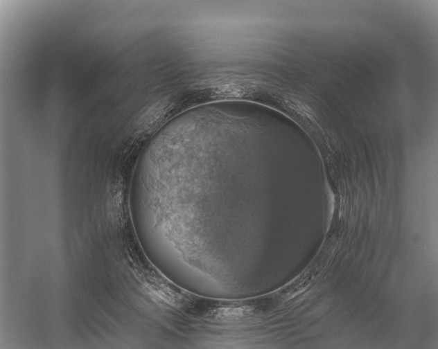 X0000058780314200510071616