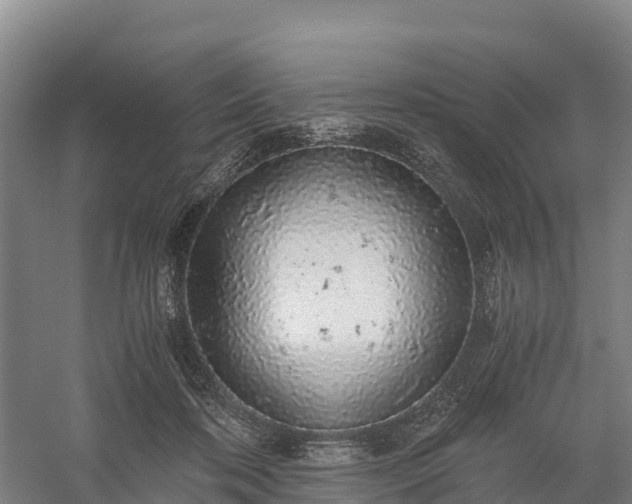 X0000058780316200510071615