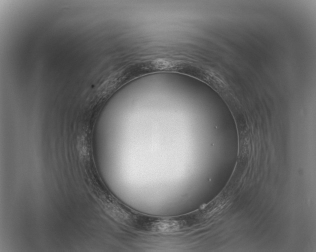 X0000058780317200510071615