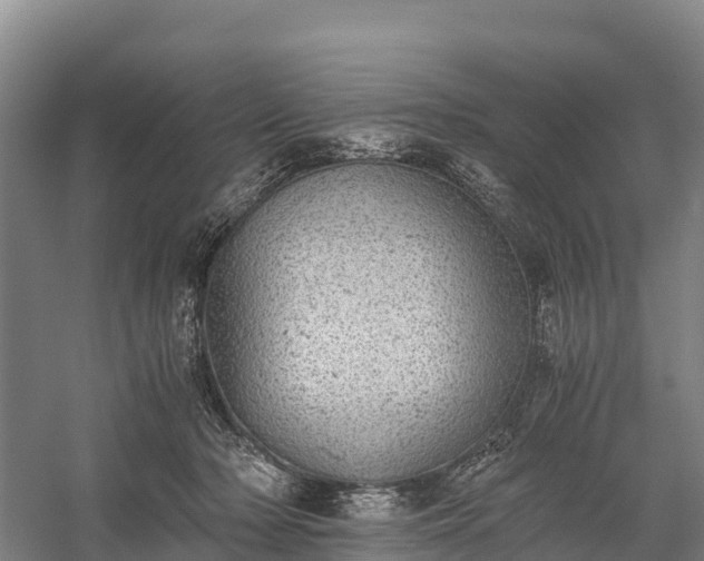 X0000058780318200510071615