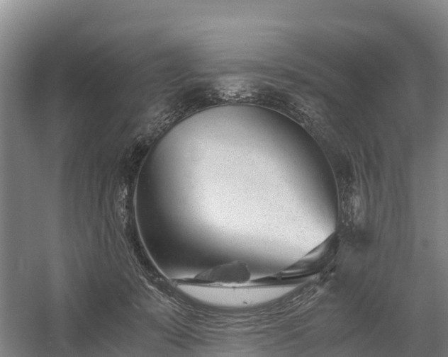 X0000058780319200510071615