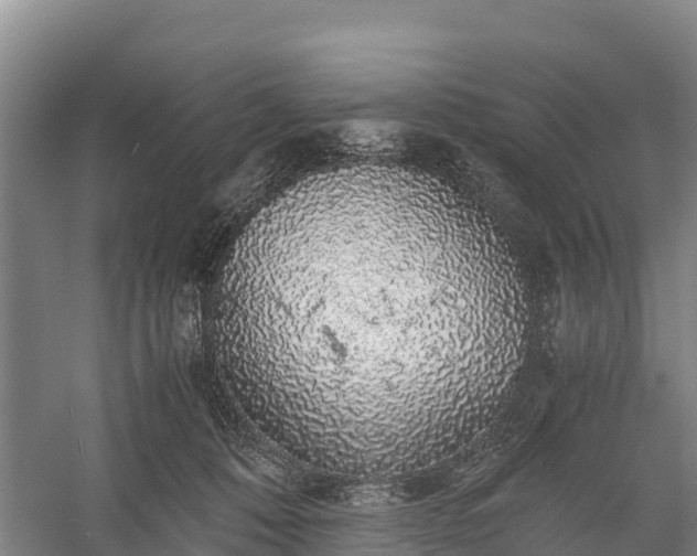 X0000058780320200510071615