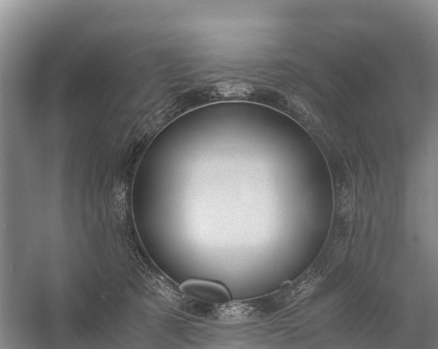 X0000058780321200510071615