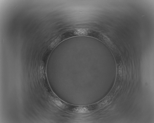 X0000058780322200510071615