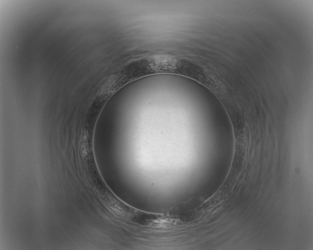 X0000058780323200510071615