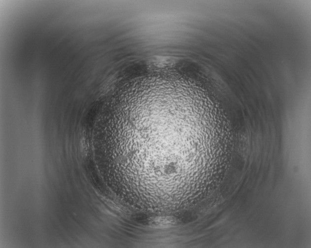 X0000058780324200510071615