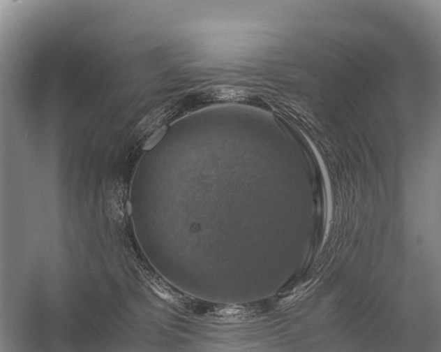 X0000058780325200510071615