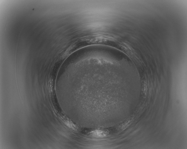 X0000058780326200510071615