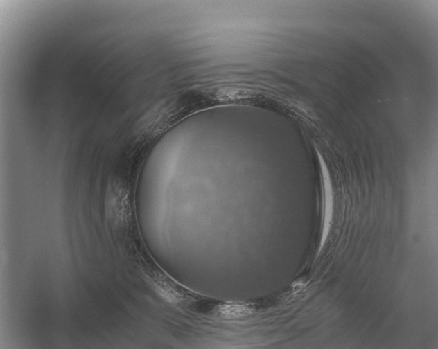 X0000058780327200510071615