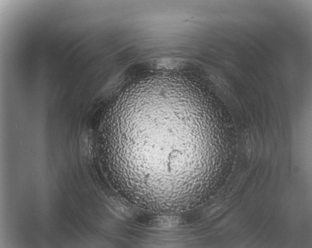 X0000058780328200510071615