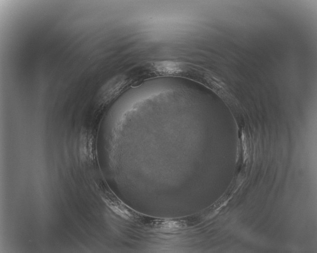 X0000058780330200510071615