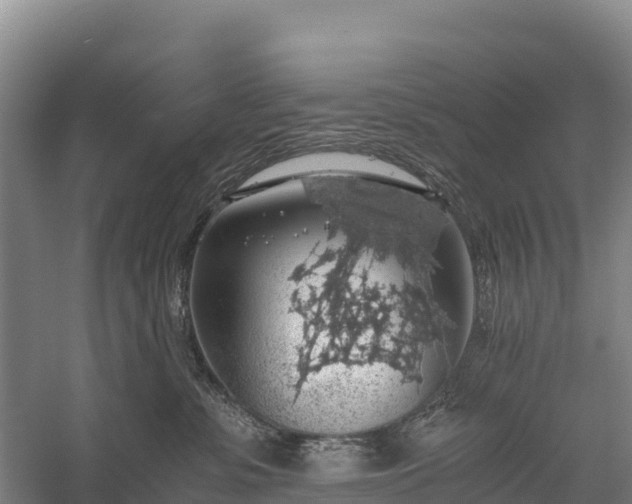 X0000058780331200510071615