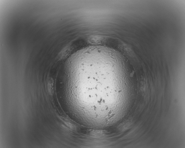 X0000058780332200510071615