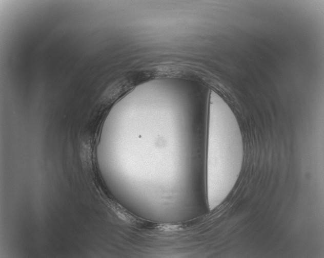 X0000058780333200510071615