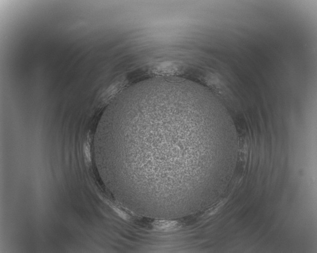 X0000058780334200510071615