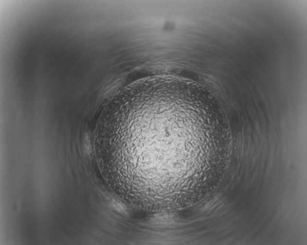 X0000058780335200510071615