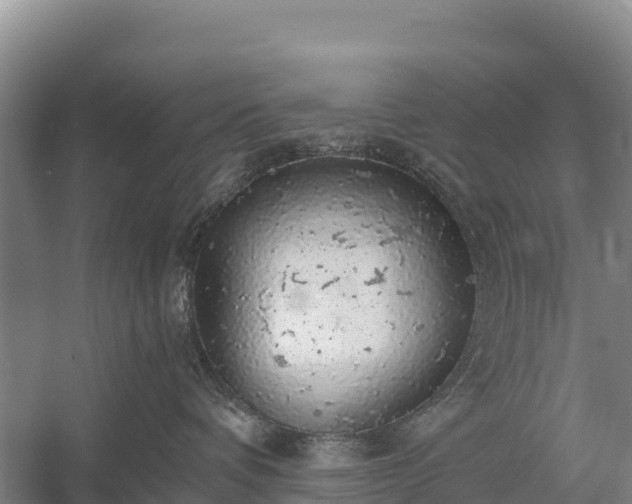 X0000058780336200510071615