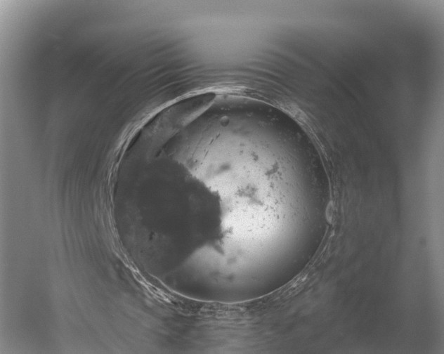 X0000058780337200510071614