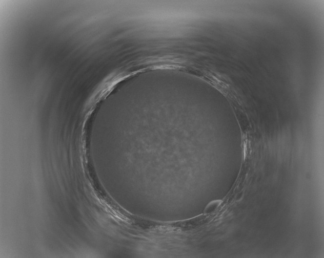 X0000058780339200510071614