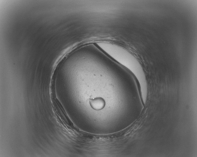 X0000058780340200510071614