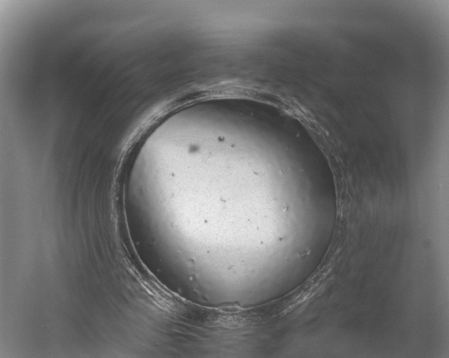 X0000058780341200510071614