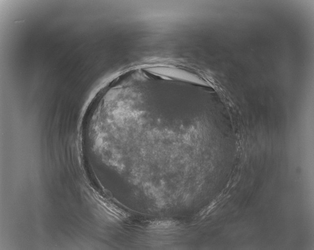 X0000058780342200510071614