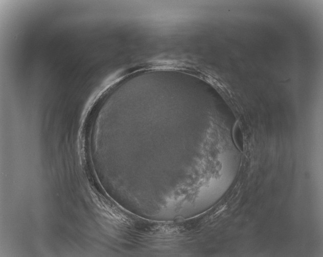 X0000058780343200510071614