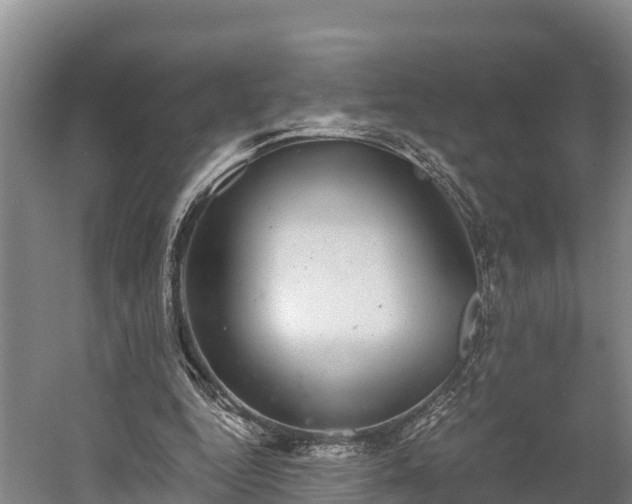 X0000058780344200510071614