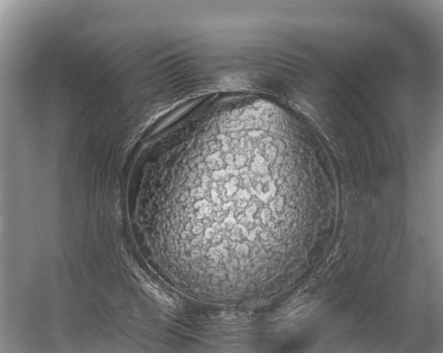 X0000058780345200510071614