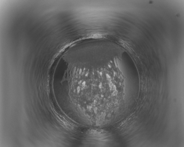 X0000058780346200510071614