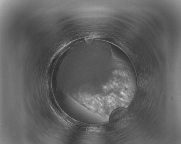 X0000058780347200510071614